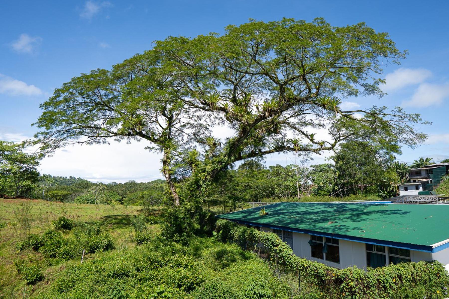 Yellow House Quepos Luaran gambar